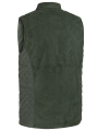 vesta POLIN